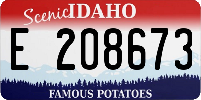 ID license plate E208673