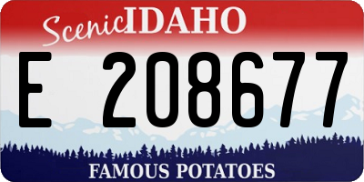 ID license plate E208677