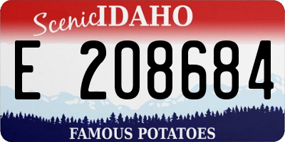 ID license plate E208684