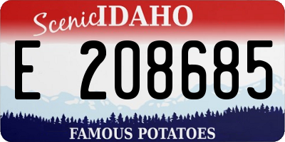 ID license plate E208685