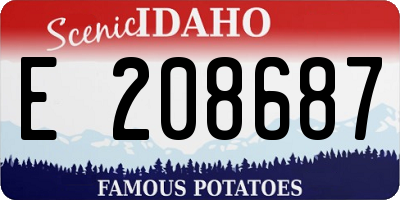 ID license plate E208687