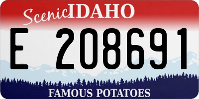 ID license plate E208691