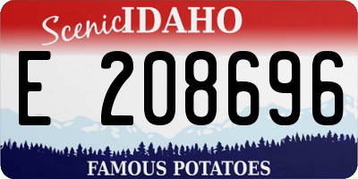 ID license plate E208696