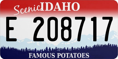 ID license plate E208717