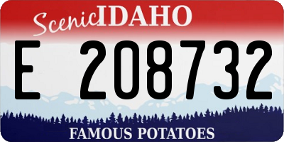ID license plate E208732