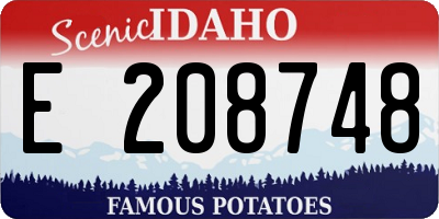 ID license plate E208748