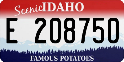 ID license plate E208750