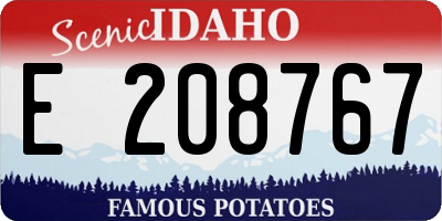 ID license plate E208767