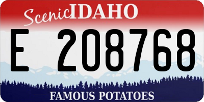 ID license plate E208768