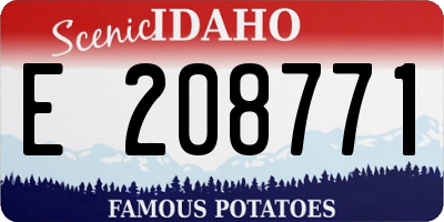 ID license plate E208771