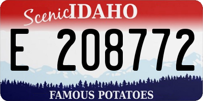 ID license plate E208772