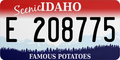 ID license plate E208775