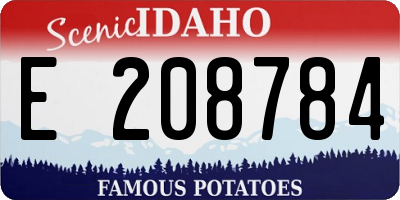 ID license plate E208784