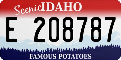 ID license plate E208787