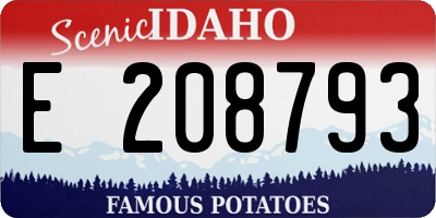ID license plate E208793
