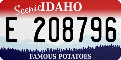 ID license plate E208796