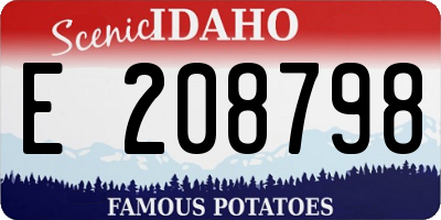 ID license plate E208798