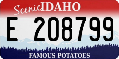 ID license plate E208799
