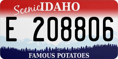 ID license plate E208806