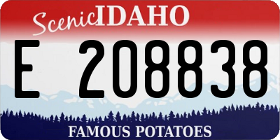 ID license plate E208838