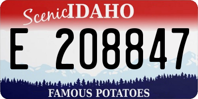 ID license plate E208847