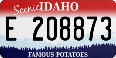 ID license plate E208873
