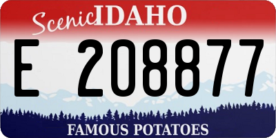 ID license plate E208877