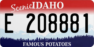 ID license plate E208881