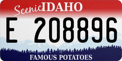 ID license plate E208896