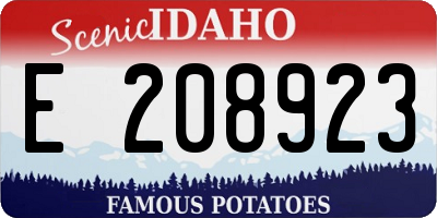 ID license plate E208923