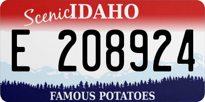 ID license plate E208924
