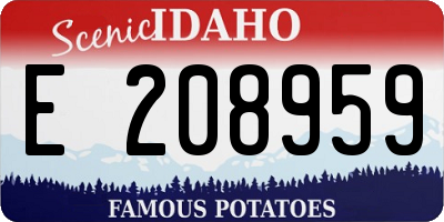 ID license plate E208959