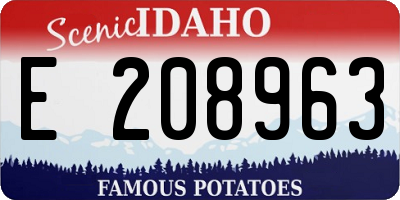 ID license plate E208963