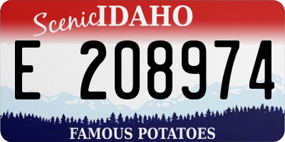 ID license plate E208974