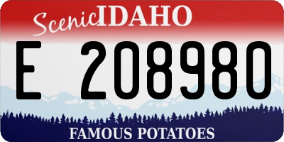 ID license plate E208980