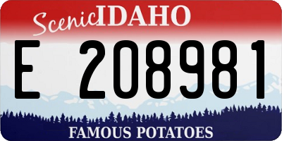 ID license plate E208981