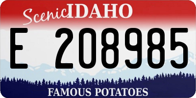ID license plate E208985