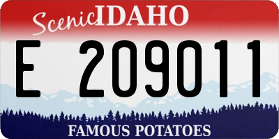 ID license plate E209011
