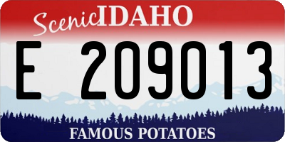 ID license plate E209013