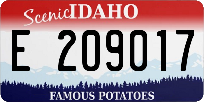 ID license plate E209017