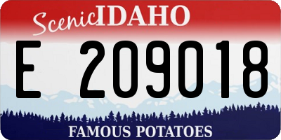 ID license plate E209018
