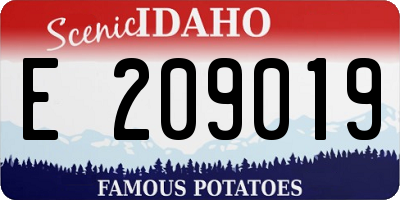 ID license plate E209019