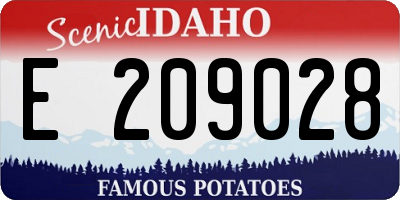 ID license plate E209028