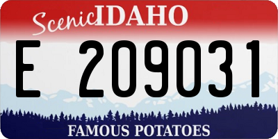 ID license plate E209031