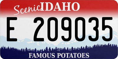ID license plate E209035