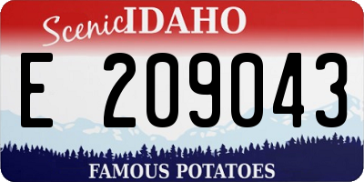 ID license plate E209043