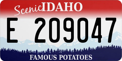 ID license plate E209047