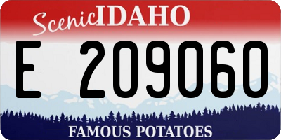 ID license plate E209060