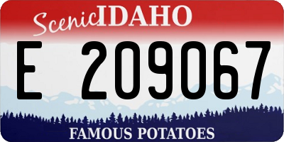 ID license plate E209067