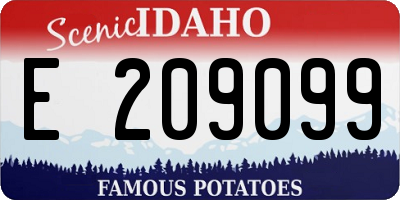 ID license plate E209099